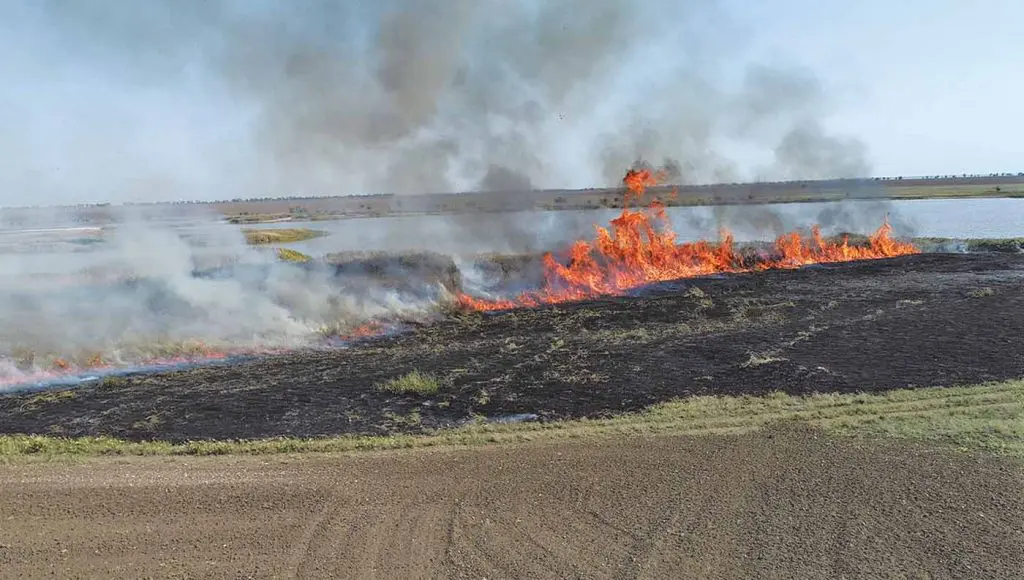 Village Voice article by Professor Oleg Rubel about the destruction of Ukraine's natural environment by Russian attacks