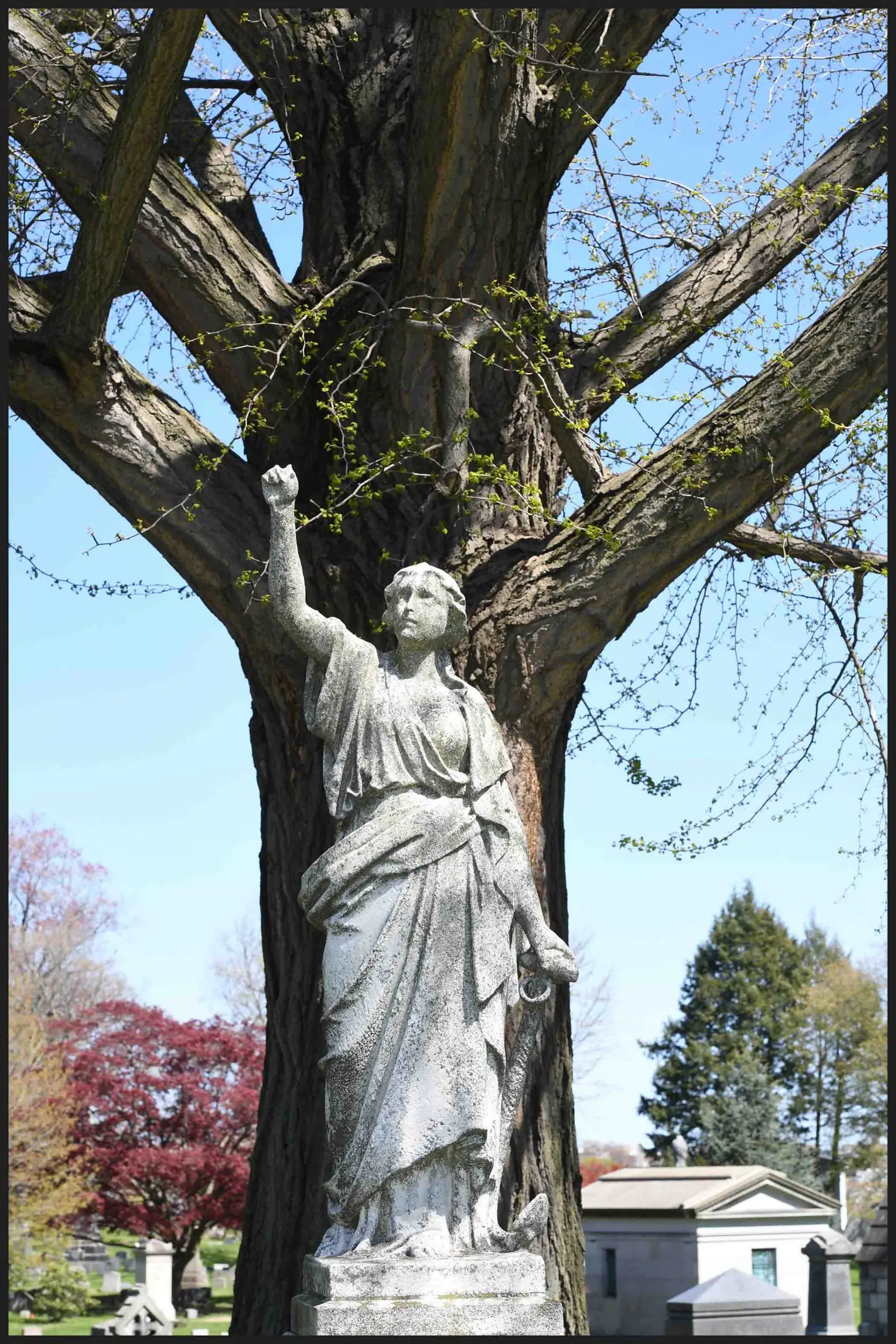 Village Voice article about Woodlawn Cemetery written and photographed by Jim Burger