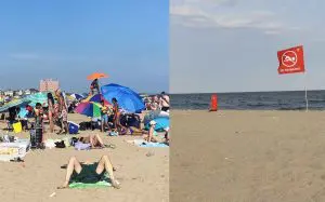Photo accompanying Village Voice article about the lifeguard shortage in New York City.
