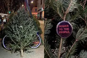 Christmas trees and ornaments in article from the Village Voice.