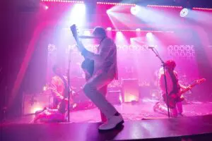 Fantastic Cat in concert.