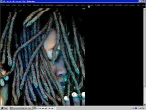 Image from Auriea Harvey's survey at The Musuem of the Moving Image in Astoria, Queens.