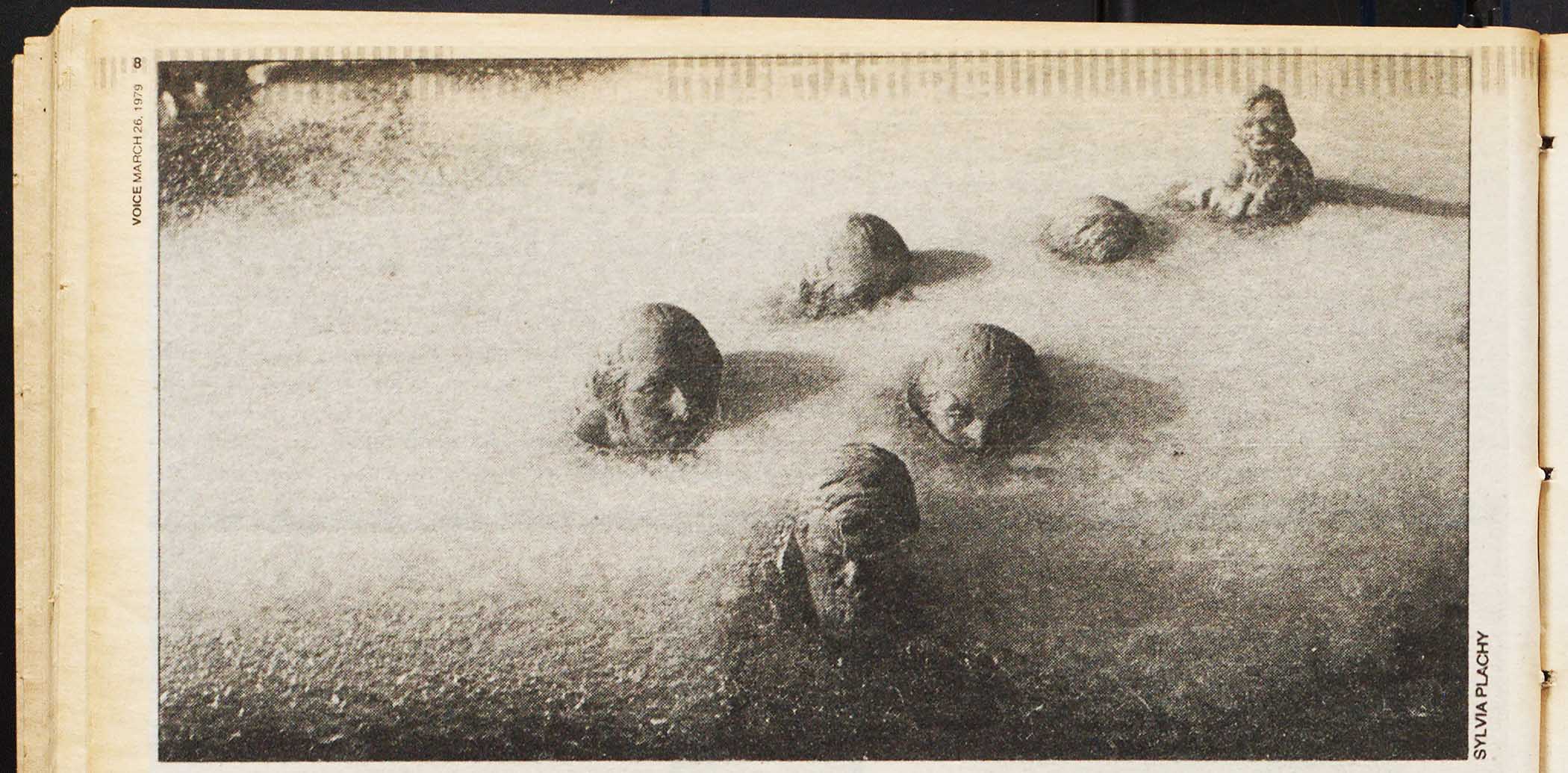 Image of heads in the snow in an article about and exhibition at the Bronx Documentary Center by Sylvia Plachy, longtime Village Voice photographer.