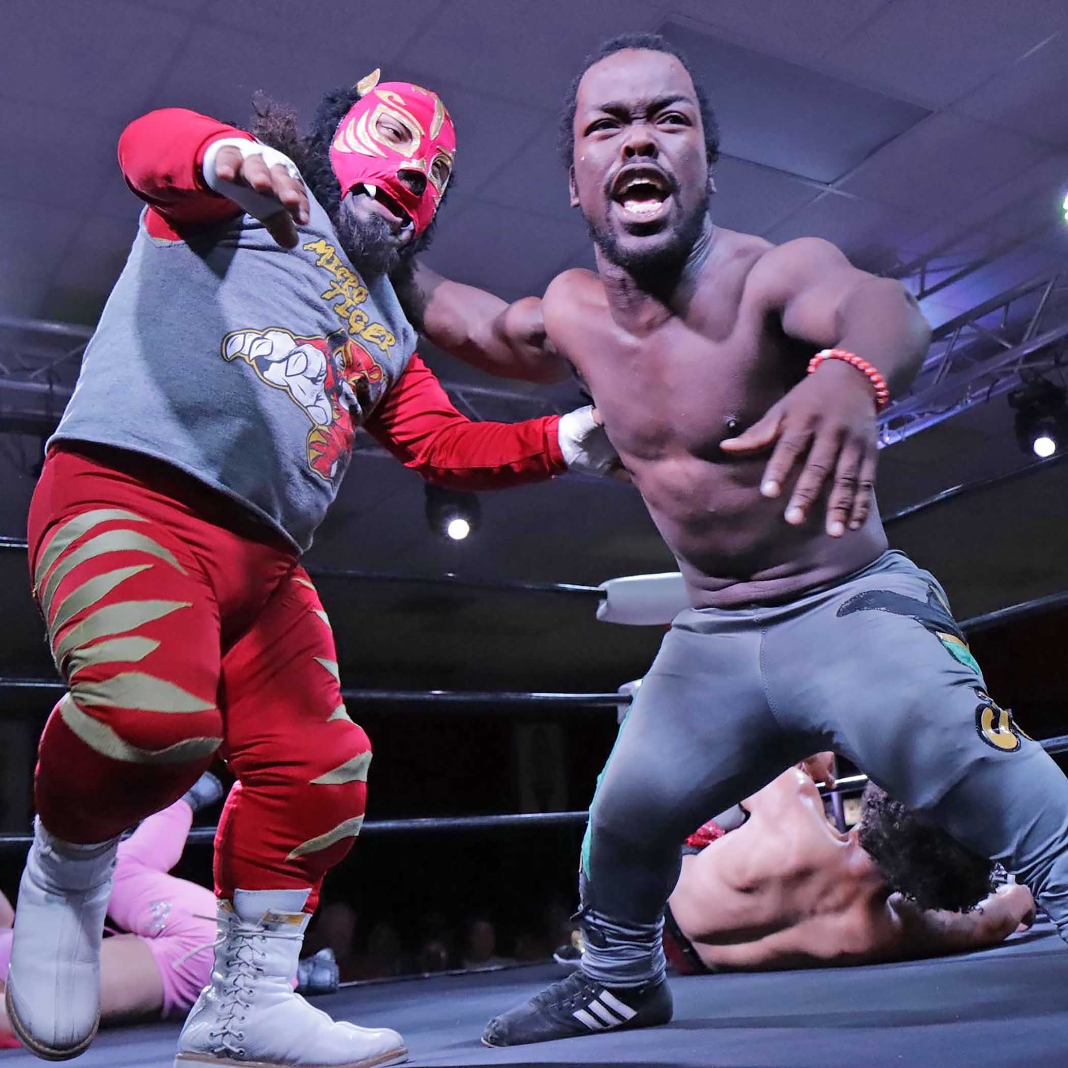 Article about Micro Wrestling in Staten Island in the Village Voice.