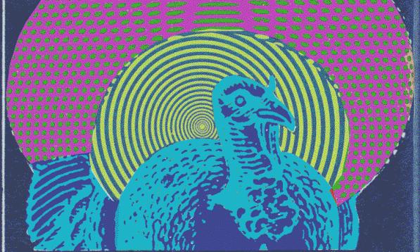 Even the turkeys light up for Hendrix.